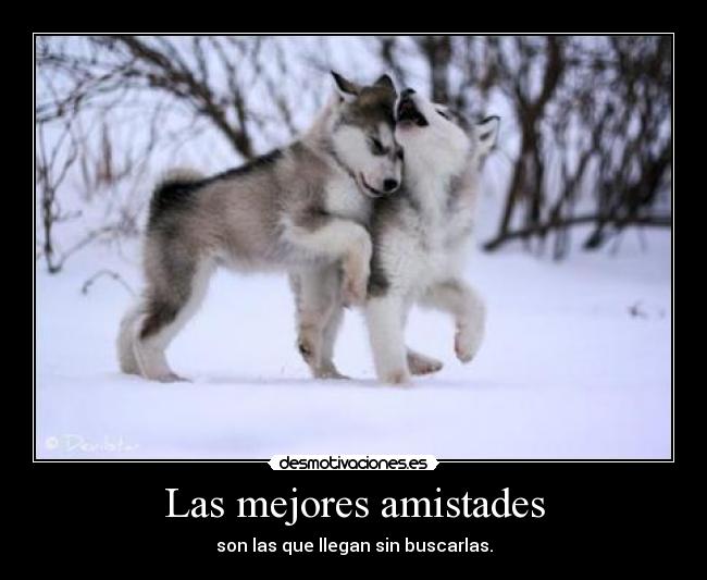 Las mejores amistades - 