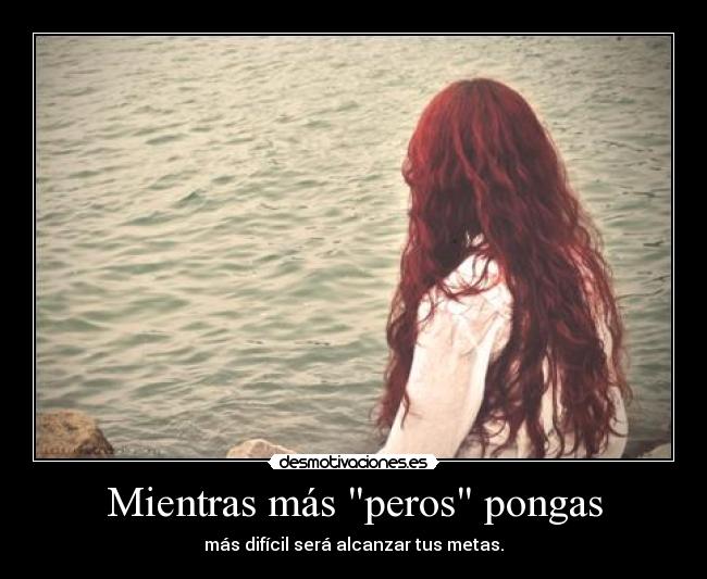 carteles muy cierto desmo02 desmotivaciones