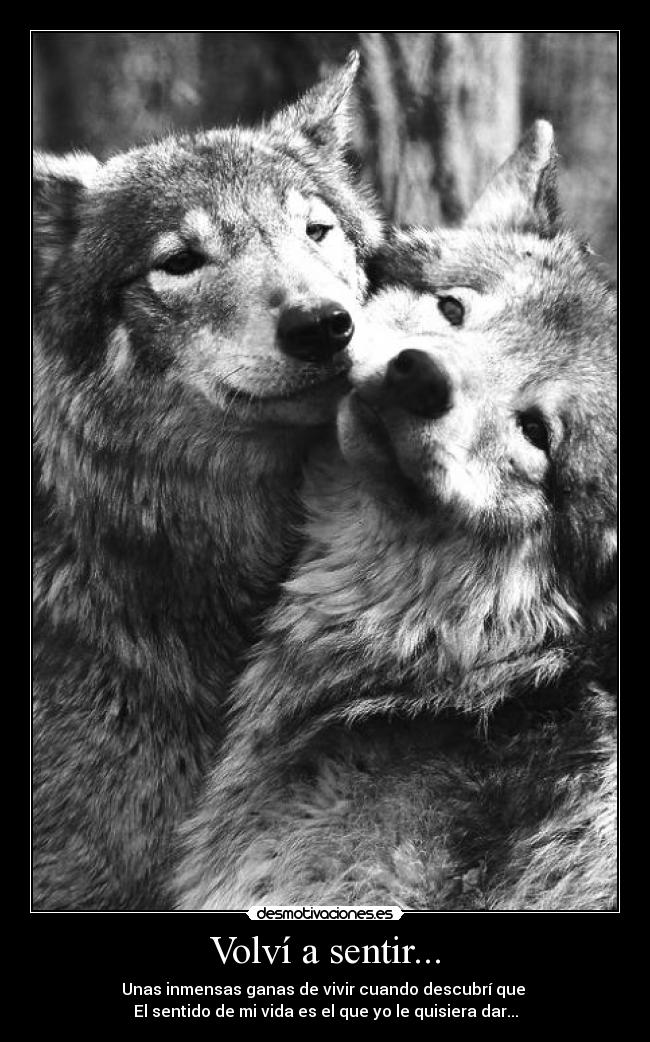Volví a sentir... - Unas inmensas ganas de vivir cuando descubrí que
El sentido de mi vida es el que yo le quisiera dar...
