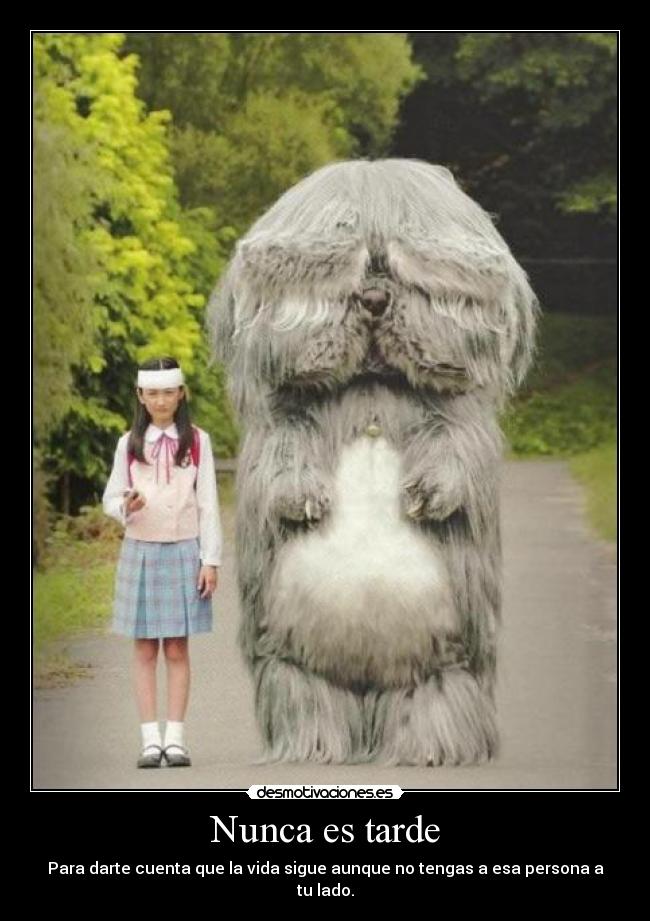 Nunca es tarde - 