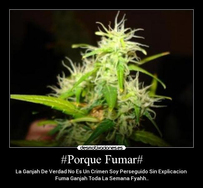 carteles romero sayes123 desmotivaciones