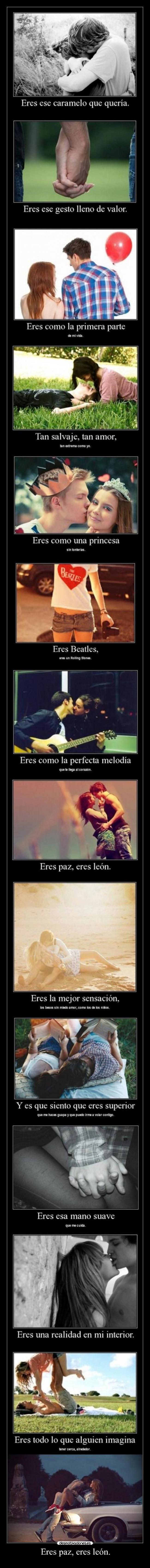 Eres paz, eres león. - 