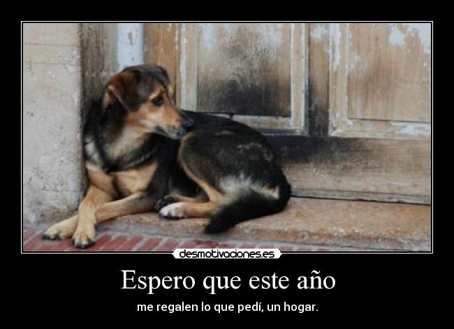 Espero que este año -