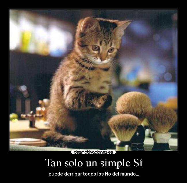 Tan solo un simple Sí - puede derribar todos los No del mundo...