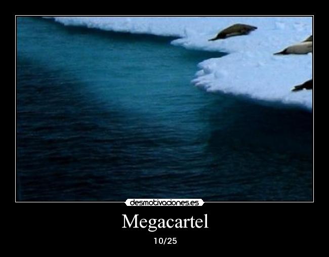Megacartel -