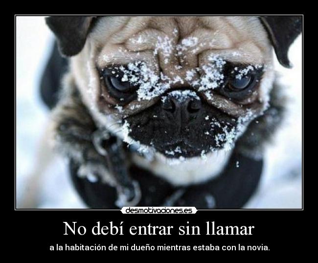 carteles gwiazda ves esto dime que quieres sere feliz marcha atras desmotivaciones