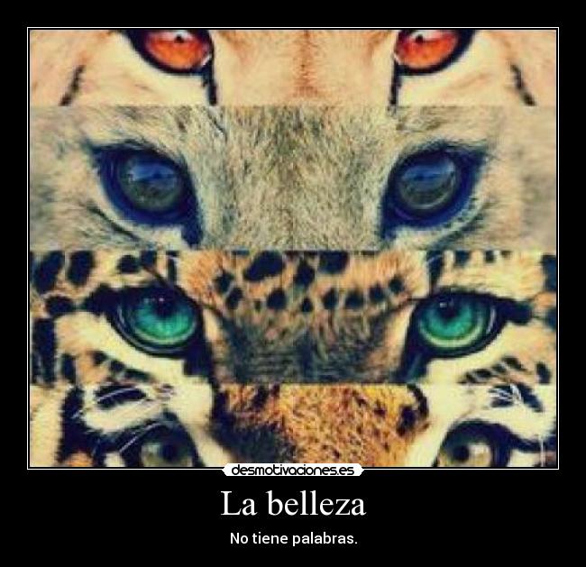 La belleza - No tiene palabras.