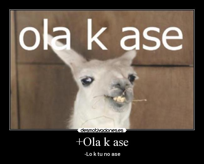 +Ola k ase - 