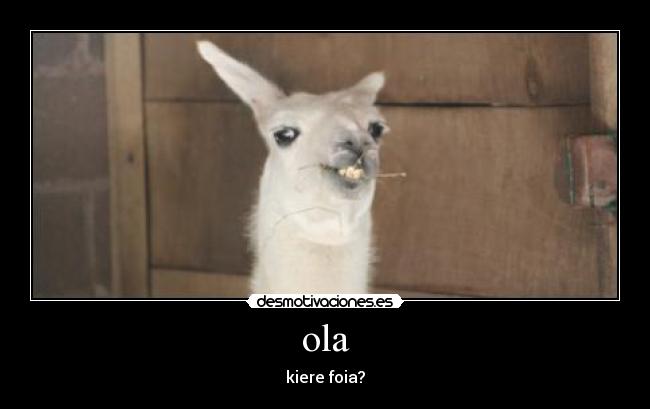 carteles ola kiere foia desmotivaciones