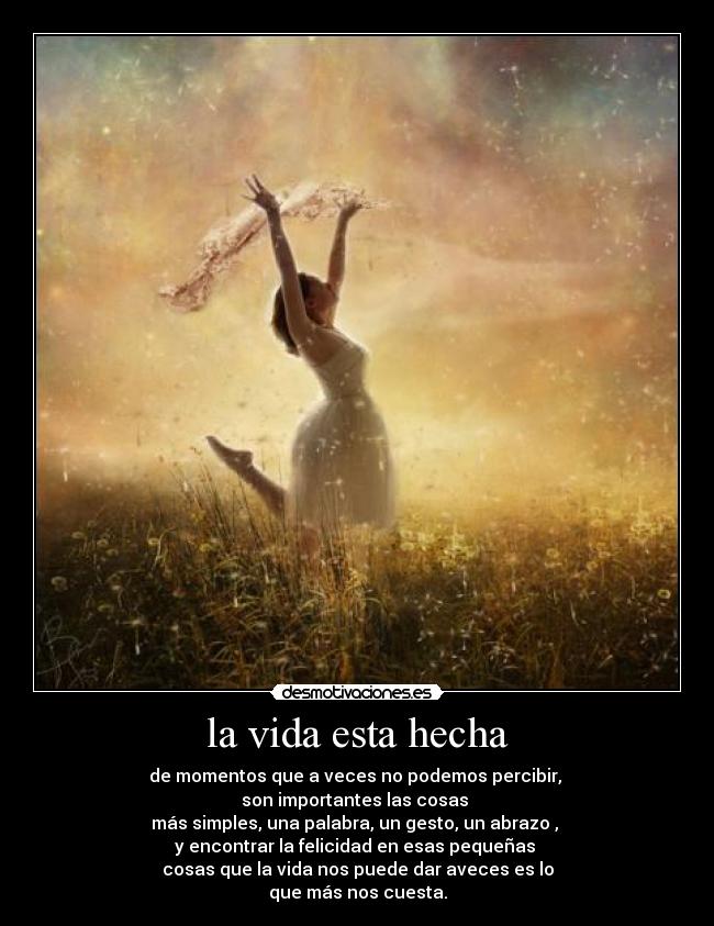 la vida esta hecha - de momentos que a veces no podemos percibir,
son importantes las cosas
más simples, una palabra, un gesto, un abrazo ,
y encontrar la felicidad en esas pequeñas
cosas que la vida nos puede dar aveces es lo
que más nos cuesta.