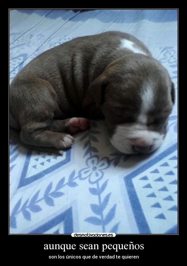 aunque sean pequeños -