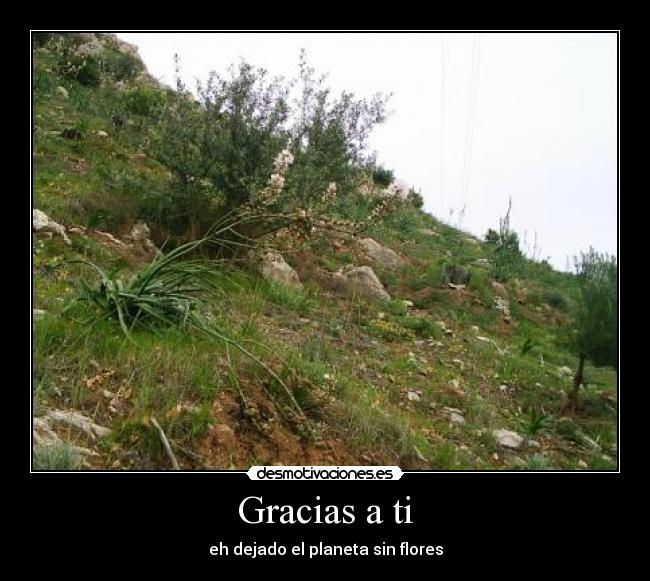 Gracias a ti - eh dejado el planeta sin flores