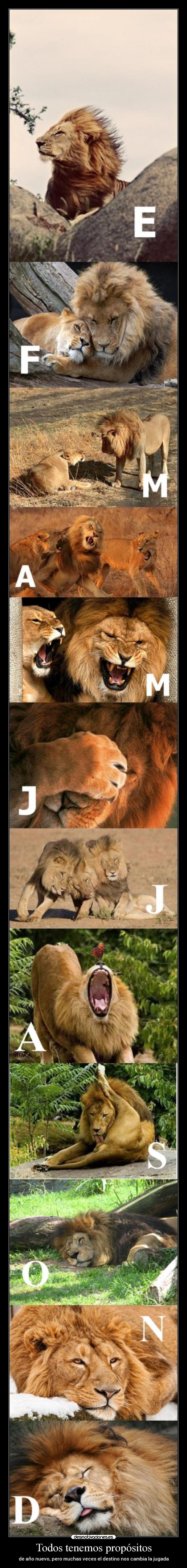 carteles clandesmotivante clantriton adicctive clantheblackcat calendario 2013 desmotivaciones