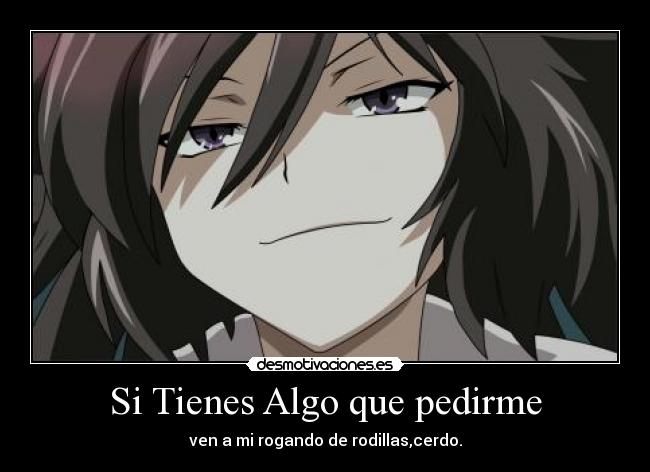 Si Tienes Algo que pedirme - ven a mi rogando de rodillas,cerdo.