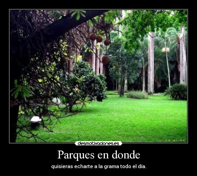 Parques en donde - quisieras echarte a la grama todo el día.