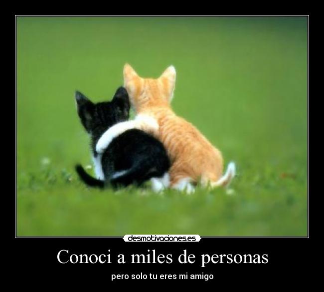 Conoci a miles de personas - pero solo tu eres mi amigo