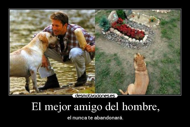 El mejor amigo del hombre, - el nunca te abandonará.