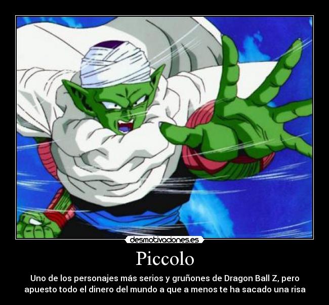 Piccolo - 