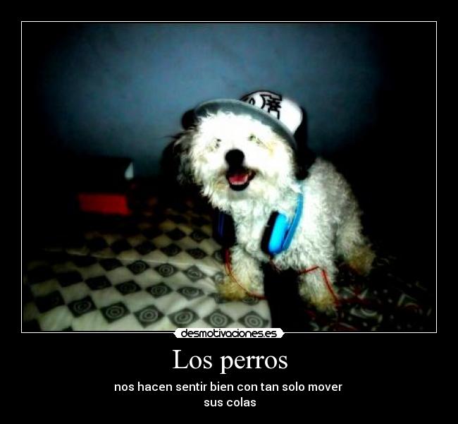 Los perros - nos hacen sentir bien con tan solo mover 
sus colas