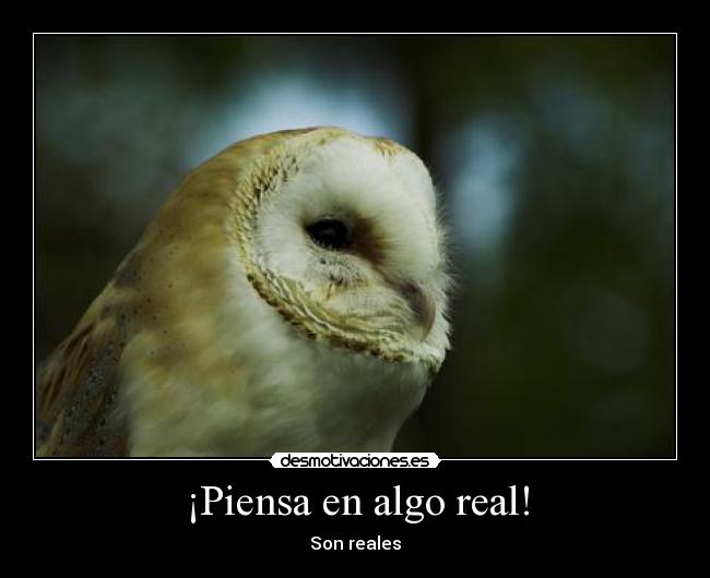 carteles malaquita desmotivaciones