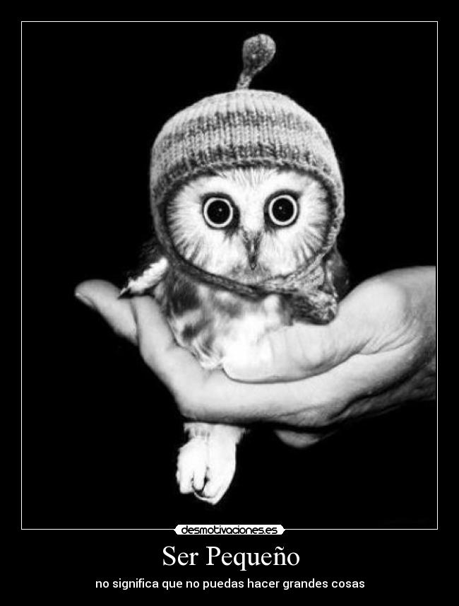 Ser Pequeño - no significa que no puedas hacer grandes cosas