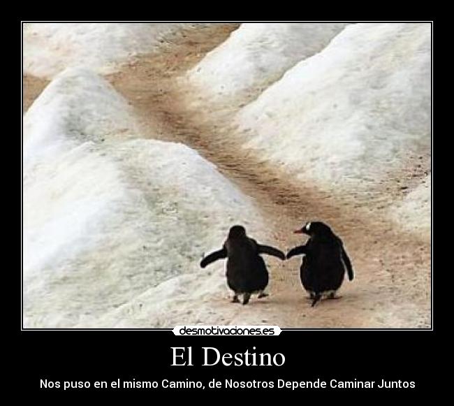 carteles destino caminar juntos desmotivaciones