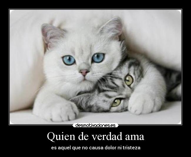 Quien de verdad ama - 