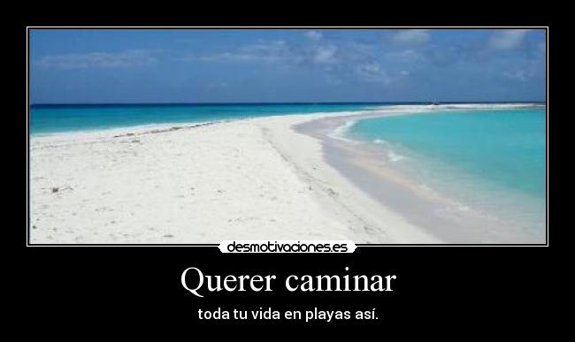 carteles lalala desmotivaciones