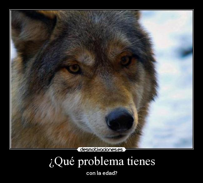 ¿Qué problema tienes -