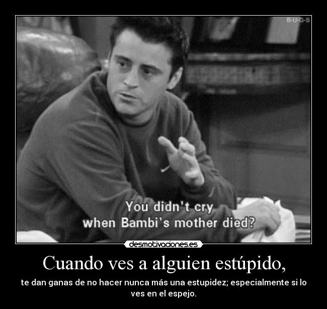 Cuando ves a alguien estúpido, - te dan ganas de no hacer nunca más una estupidez; especialmente si lo
ves en el espejo.