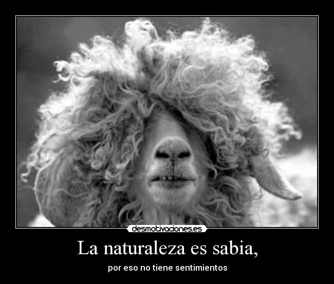 La naturaleza es sabia, - por eso no tiene sentimientos