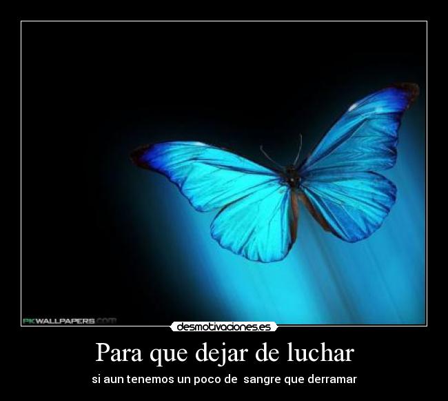 Para que dejar de luchar - 