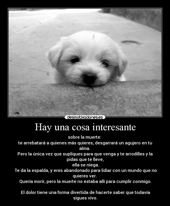 Hay una cosa interesante - sobre la muerte:
te arrebatará a quienes más quieres, desgarrará un agujero en tu alma.
Pero la única vez que supliques para que venga y te arrodilles y la pidas que te lleve,
ella se niega.
Te da la espalda, y eres abandonado para lidiar con un mundo que no quieres ver.
Quería morir, pero la muerte no estaba allí para cumplir conmigo.
El dolor tiene una forma divertida de hacerte saber que todavía sigues vivo.