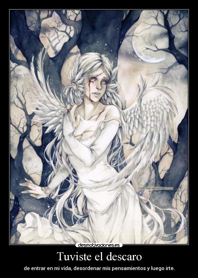 Tuviste el descaro -