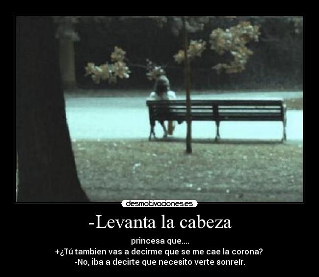 carteles laiam amor desmotivaciones