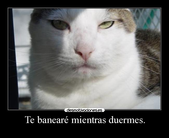 Te banearé mientras duermes. -