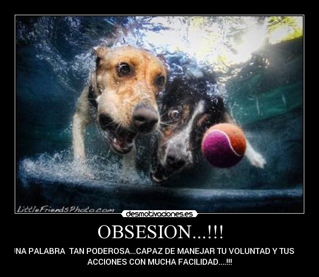 OBSESION...!!! - UNA PALABRA TAN PODEROSA...CAPAZ DE MANEJAR TU VOLUNTAD Y TUS
ACCIONES CON MUCHA FACILIDAD....!!!