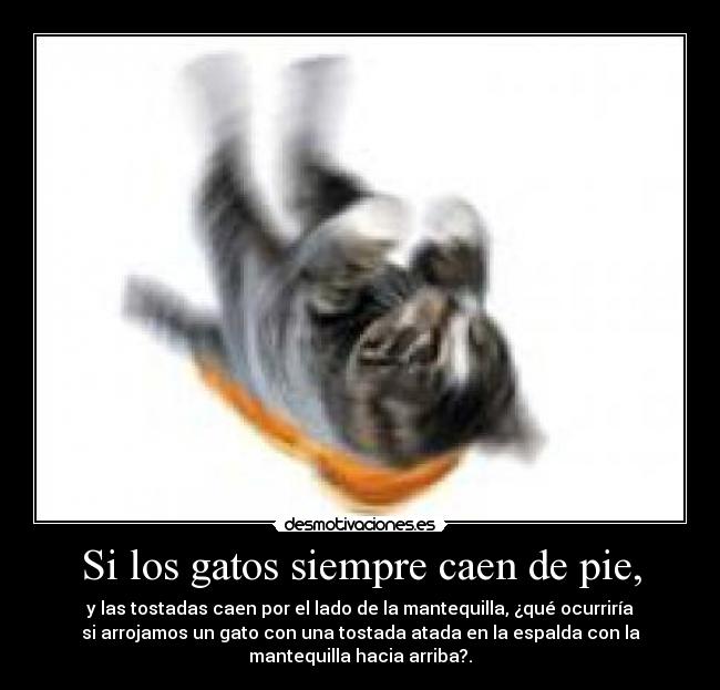 Si los gatos siempre caen de pie, - y las tostadas caen por el lado de la mantequilla, ¿qué ocurriría
si arrojamos un gato con una tostada atada en la espalda con la
mantequilla hacia arriba?.