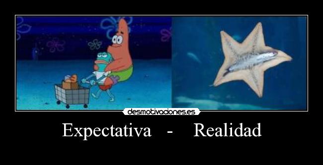 Expectativa   -    Realidad - 