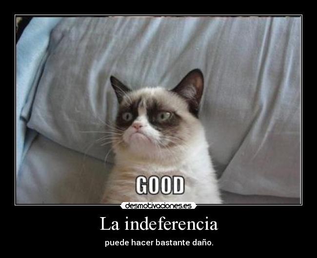 La indeferencia - 