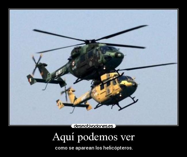 Aquí podemos ver - como se aparean los helicópteros.