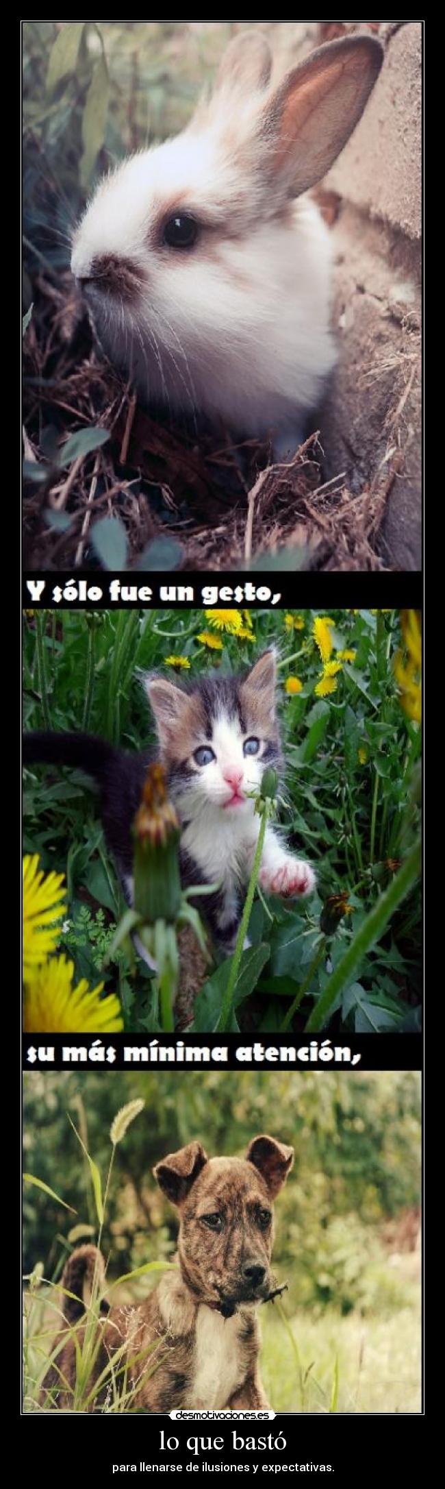 carteles amm accion poetica venezuela varios desmotivaciones