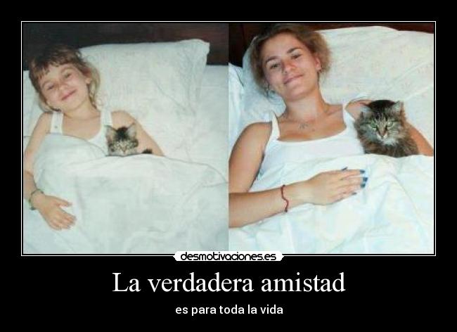 La verdadera amistad -