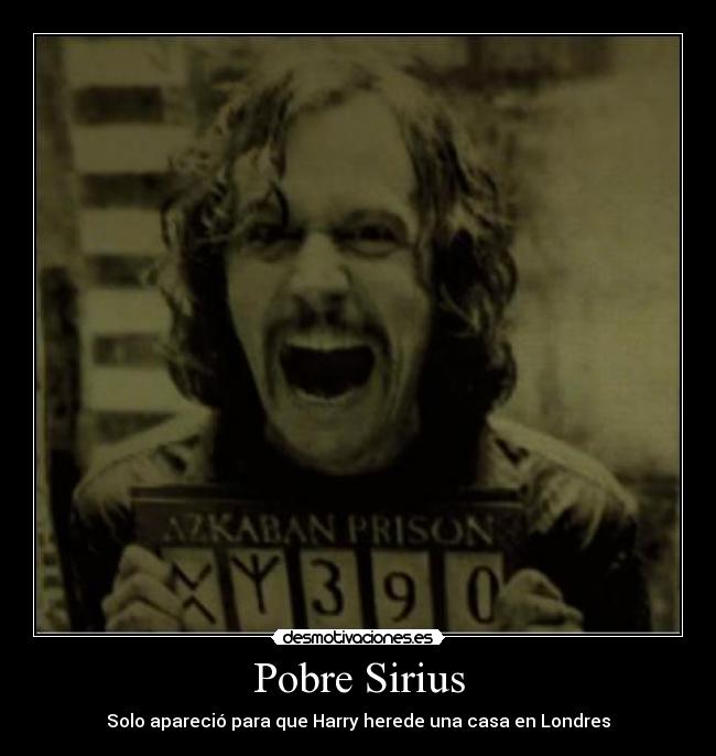 Pobre Sirius - 