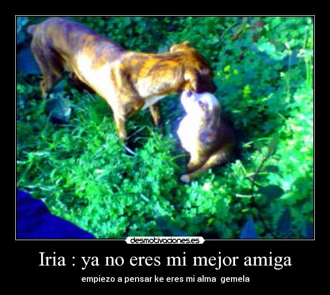 carteles iria desmotivaciones