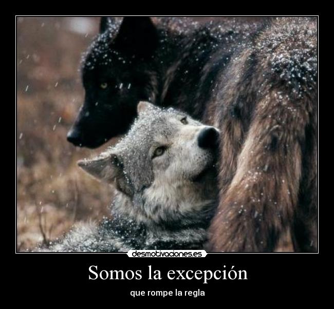 carteles malaquita rayda resubido por falta ortografica desmotivaciones