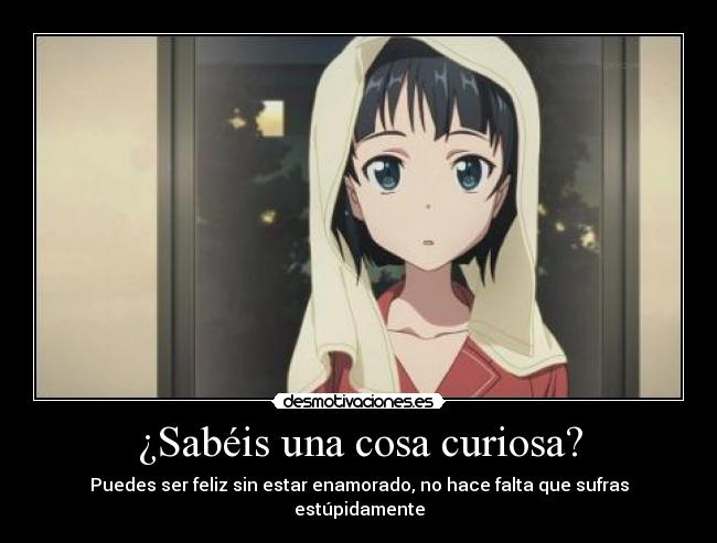 ¿Sabéis una cosa curiosa? -