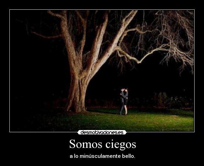 Somos ciegos - 