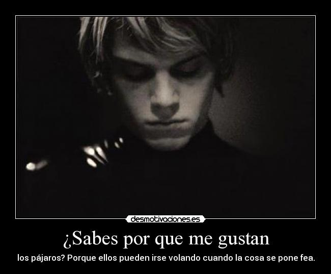 ¿Sabes por que me gustan - los pájaros? Porque ellos pueden irse volando cuando la cosa se pone fea.