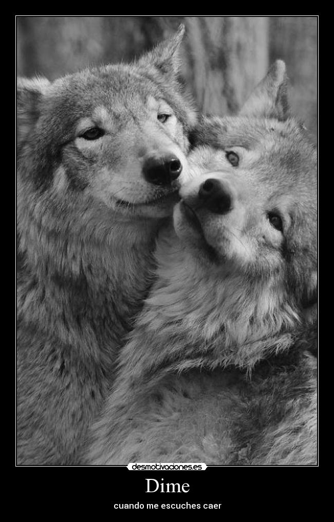 Dime - cuando me escuches caer